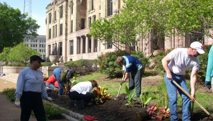 Greening Project in St. Louis