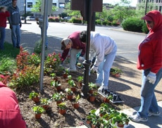 what-we-do-greening Brightside St. Louis greening