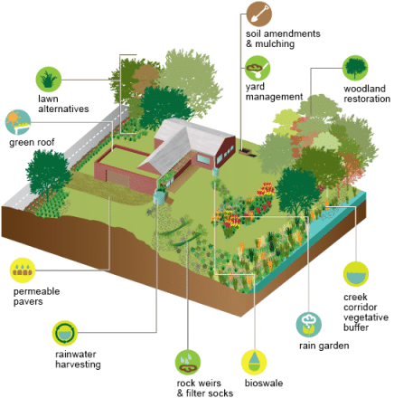 DCWA RainScaping Graphic