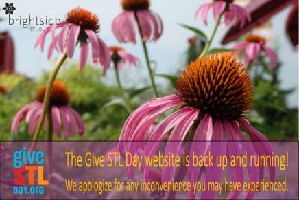 2016 - today is give stl day site up