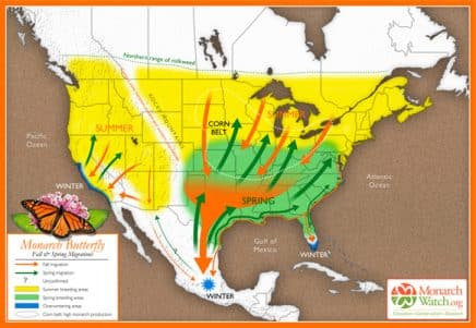 Monarch Migration Map