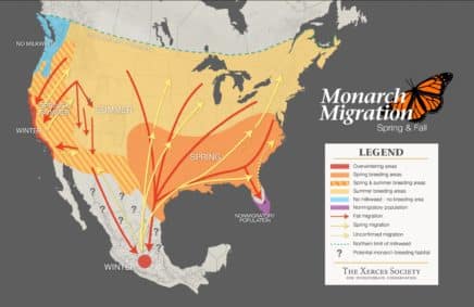 Monarch Migration Map