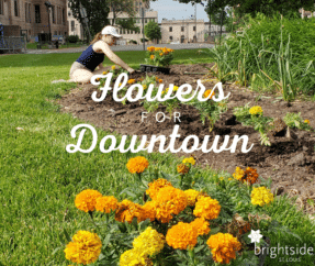 Flowers for Downtown/5/21/22 8:30am-11:30a,